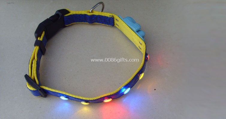 Lighting PET Collars