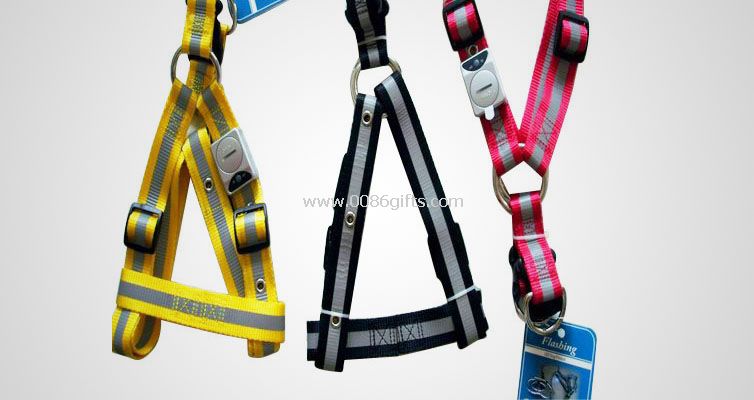 Lighting PET Leashes & Collars