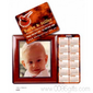 Kalender Combo Magnet small picture
