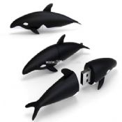memoria USB forma delfín images