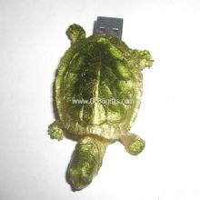 tortoise shape usb images