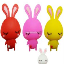 Rabbit usb drive images