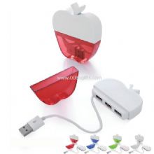 Apple shape USB Hub images