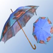 Straight umbrella images