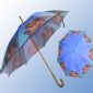 Straight umbrella small picture