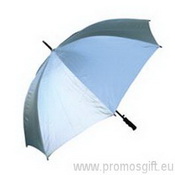 Piaski srebrny parasol images