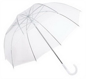 Clear Umbrella images