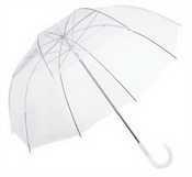 Parapluie transparent images