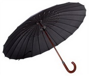 Traditionelle Damen Regenschirm images