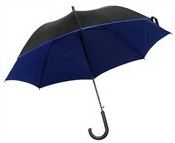 Parapluie bicolore images