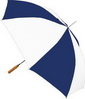 Parapluie de couleurs de contraste small picture