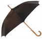 Ladies Wooden Umbrella small picture