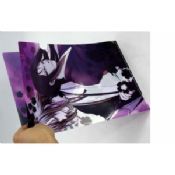 L bentuk mewah pp A4 ukuran file folder plastik uv cetak images