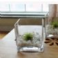 Vase cube transparent small picture