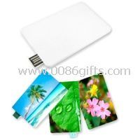 Plastic Business / Credit Card USB Flash Drive With Company Logo images