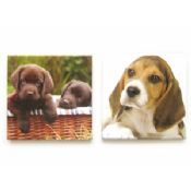 Gedruckte Hund Bild-Kühlschrank-Magnet images