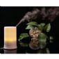 Color-changing Ultrasonic Air Humidifier and Aroma Diffuser + Lamp + Air purifier + Air ioniser small picture