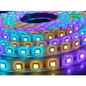 DC 24V RGB High luminous Strip Low Voltage LED Rope light for Car / Advertisement images