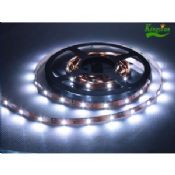 MD5050 Single Color FPC 5M Low Voltage LED Strip Lights for Indoor or Outdoor Decoration images