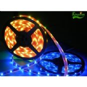 Luci di striscia di IP65 impermeabile flessibile 5m bassa tensione LED 5050 SMD rosso verde blu images