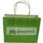 Biodegradable Cute Paper Carrier Bags small picture