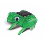 Solar Energy Toy Frog images