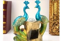 زوج طاووس چشمه آب images