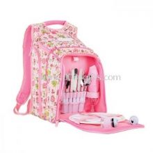 Colorfull Picnic Backpack -2 Person lunch bag images