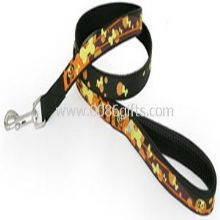 polyester pet collar images
