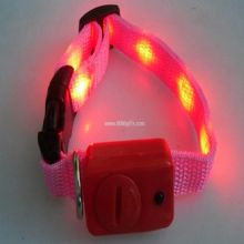 LED pet flashing products images