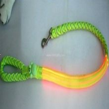 pet flashing Leash images