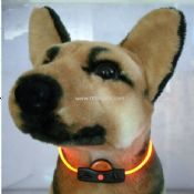 Productos para perros intermitente images