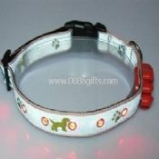 pet reflective collar images