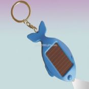 solar fish keychain light images