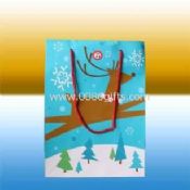 Recordable Music Bag images
