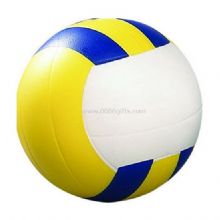 Volleyball stress ball images