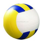 Balle anti-stress de volley-ball images