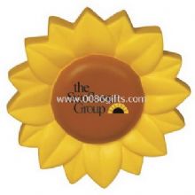 Sunflower stress ball images