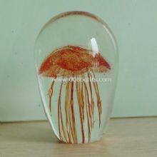 Liquid Paperweight images