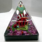 Lichid Paperweight images