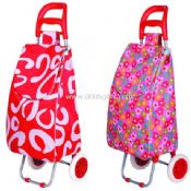 600D Polyester shopping trolley bag images