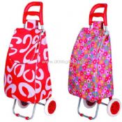 Borsa di 600D poliestere dello shopping trolley images