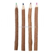 Natural branch color pencil images