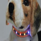 Kalung anjing pencahayaan images