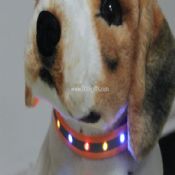 Lighting Dog Leashes images