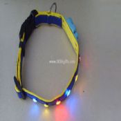 Beleuchtung-PET-Halsbänder images