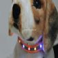 Kalung anjing pencahayaan small picture