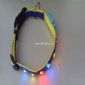 Illuminazione PET collari small picture